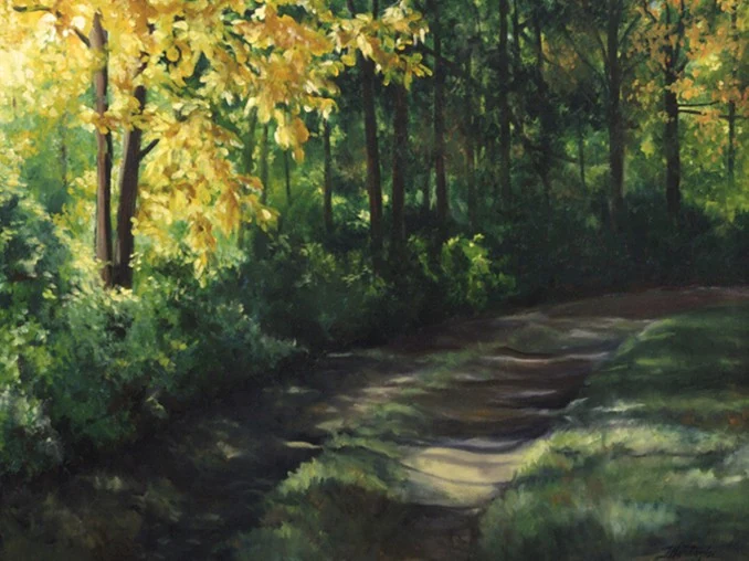 Sunlight falls across a woodland path beneath golden autumn leaves.