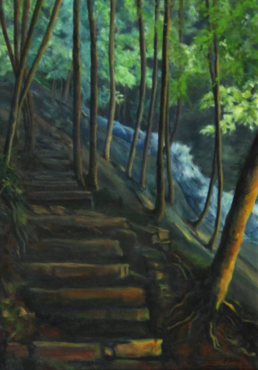 Stone steps wind through a shaded forest beside a stream.