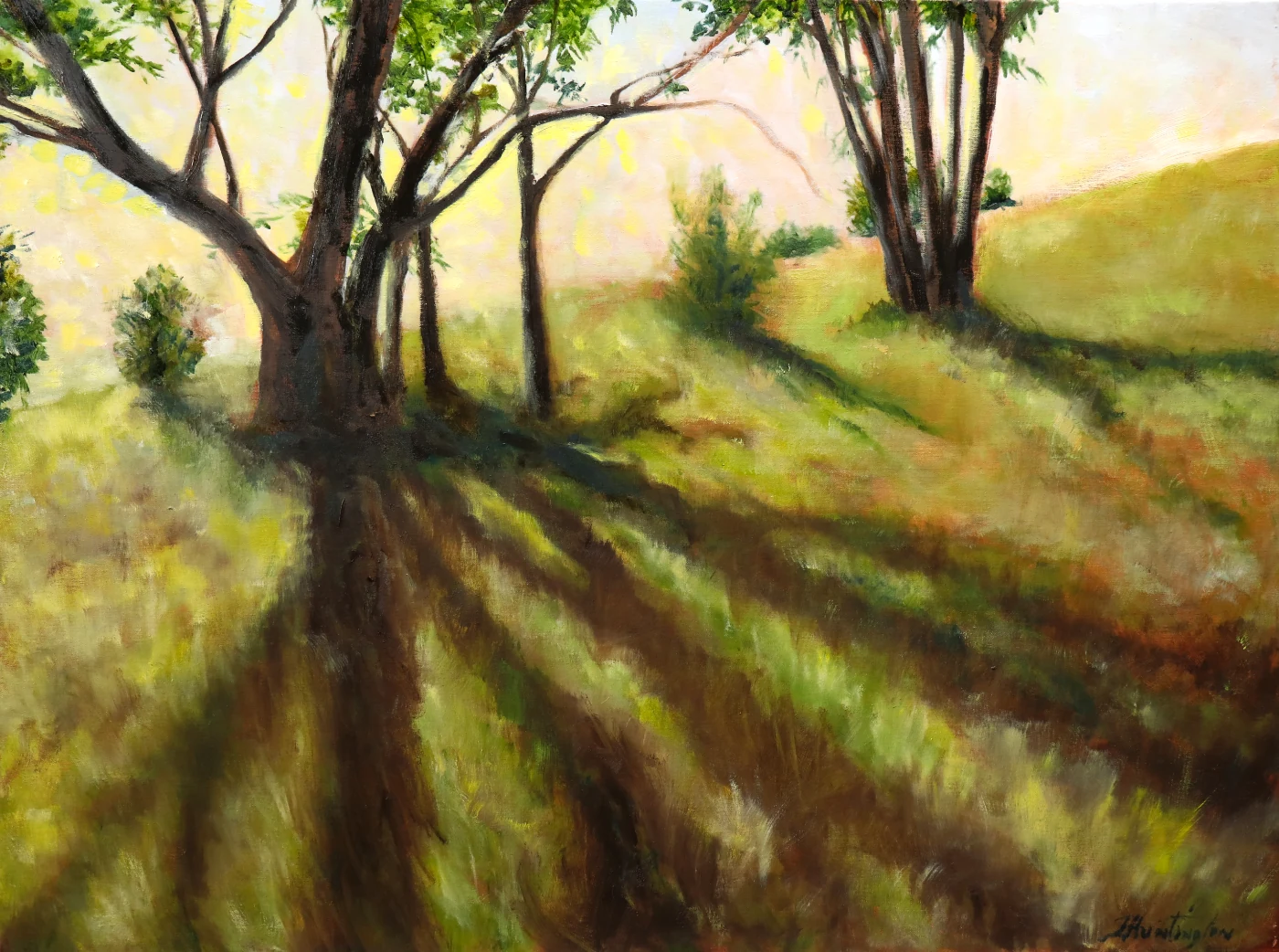 Long tree shadows cross a grassy hillside in warm morning light.