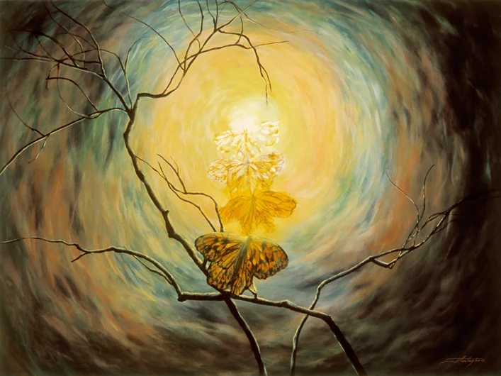 A butterfly rests among dark branches beneath a brilliant circular golden glow.