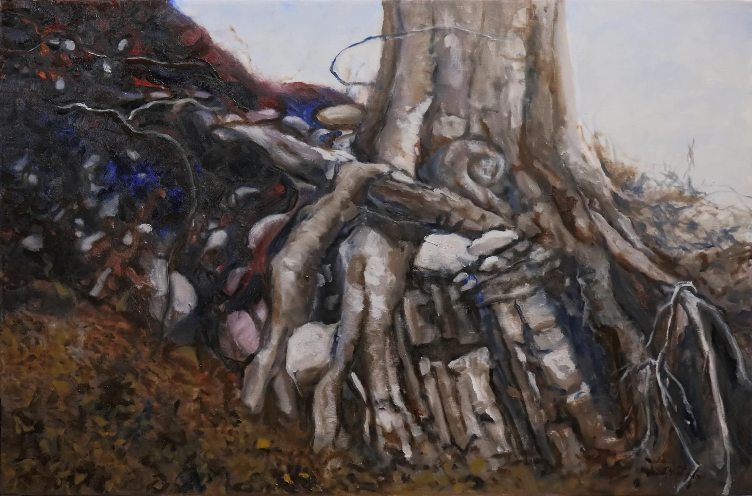 The exposed roots of a tree wind around layered stone in earthy gray, ochre, and brown.